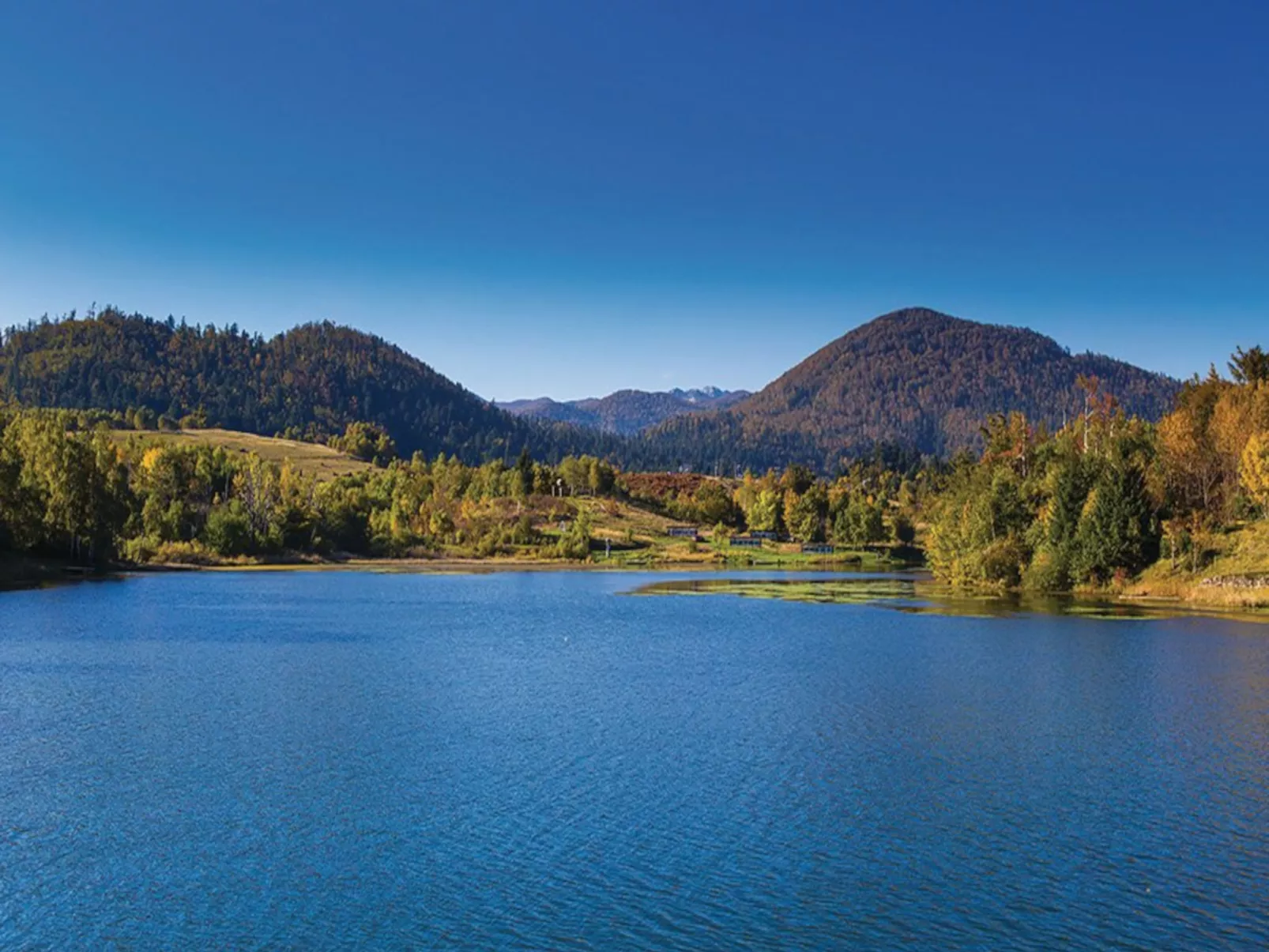 Chalet Relax - Omgeving