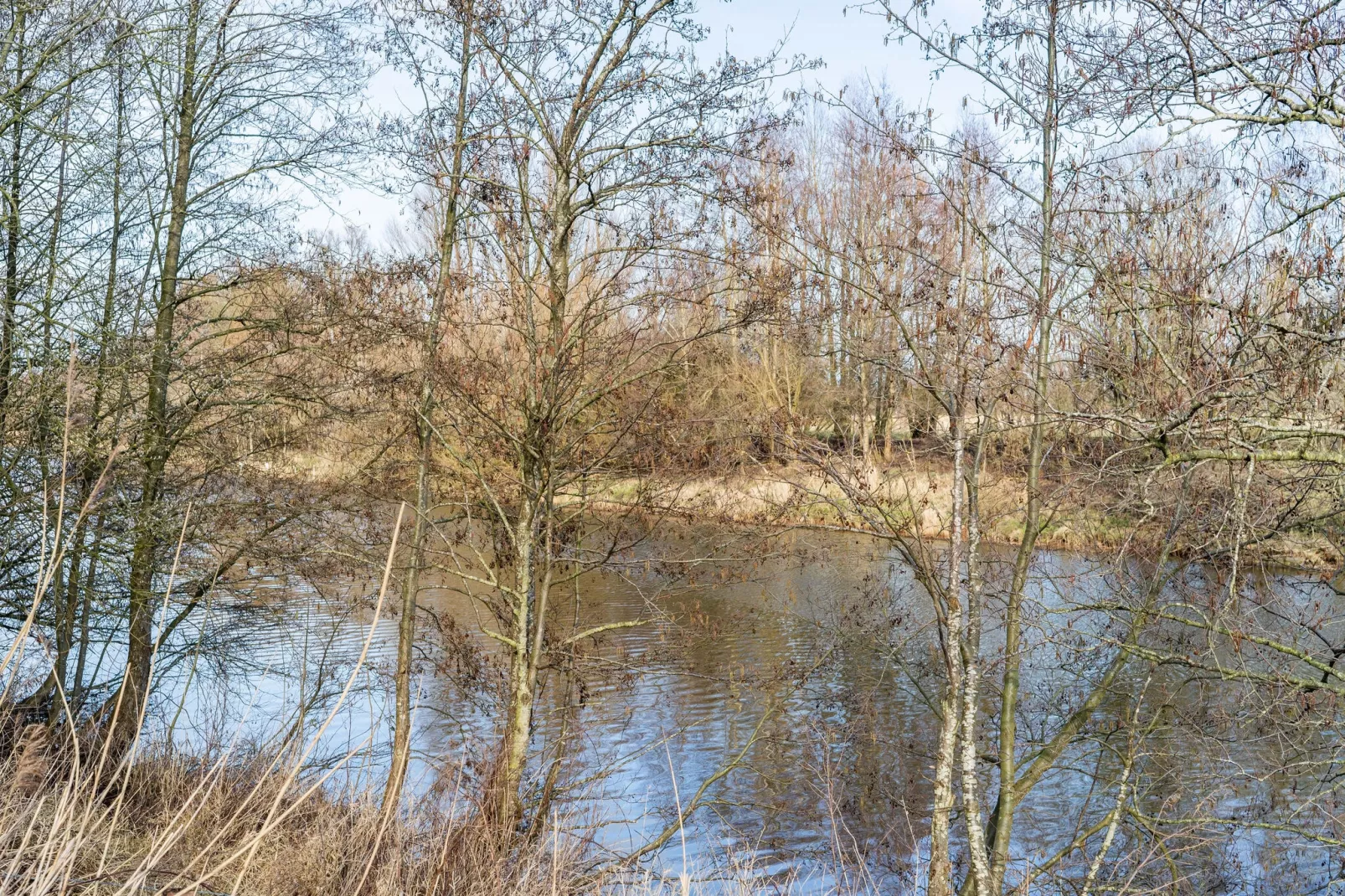 Villa Harderwold 244-Gebieden zomer 5km