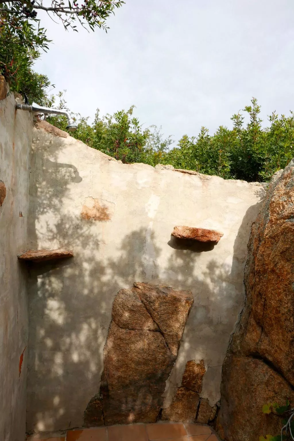 "Cosima" mit Blick auf das Wasser - Image-tags.info