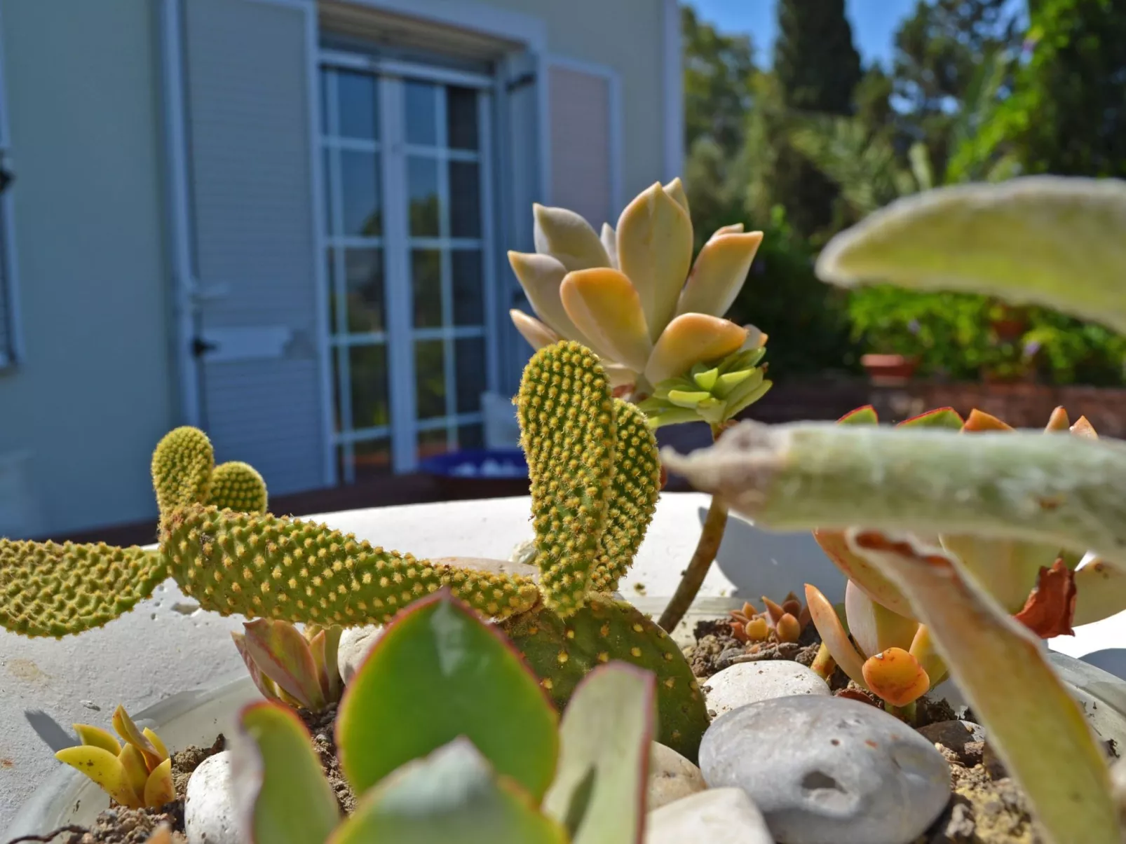 Anwesen mit Garten, Grill und Terrasse - Image-tags.info