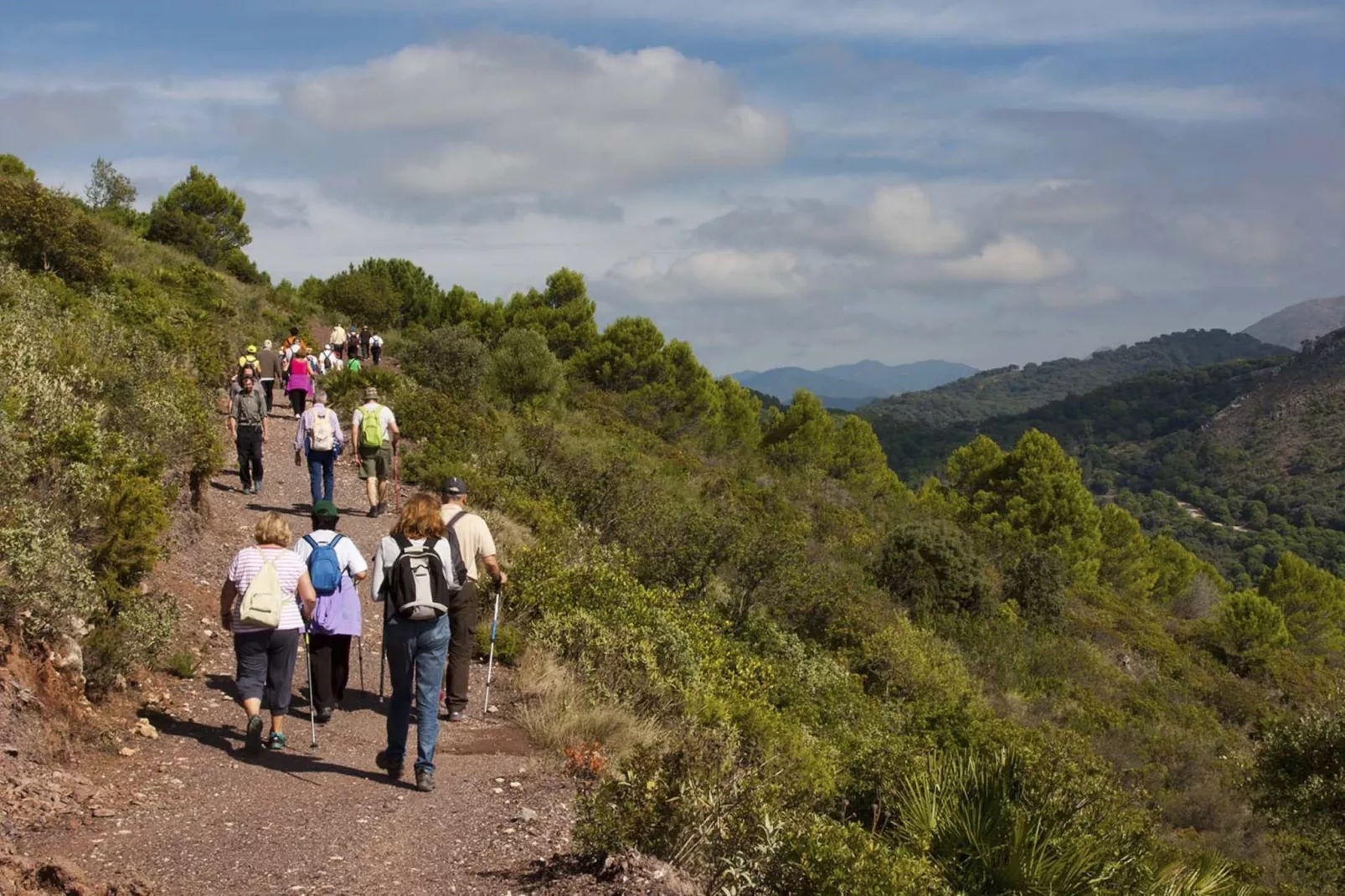 5 PAX Apartment  - Alcazaba Lagoon (401) - Gebieden zomer 5km