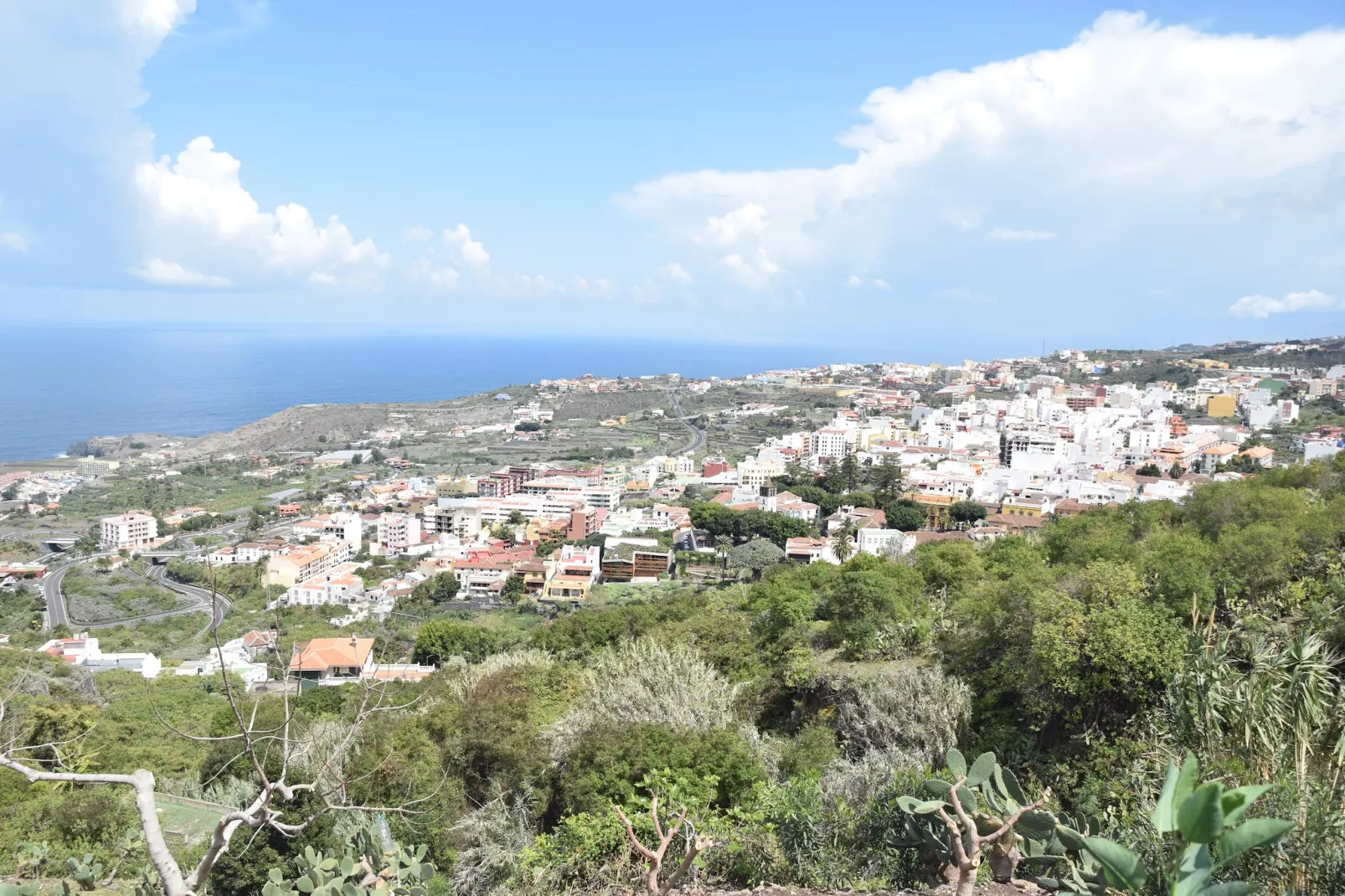 Apartamentos Monasterio de San Antonio 3 - Gebieden zomer 1km