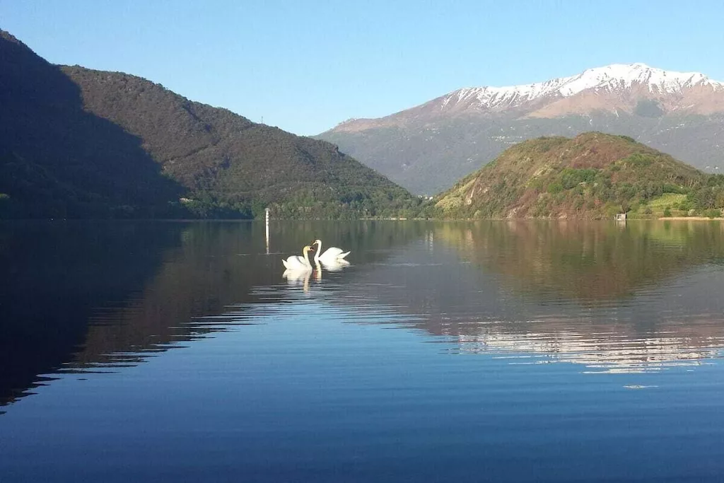 467839 - Niet-getagd