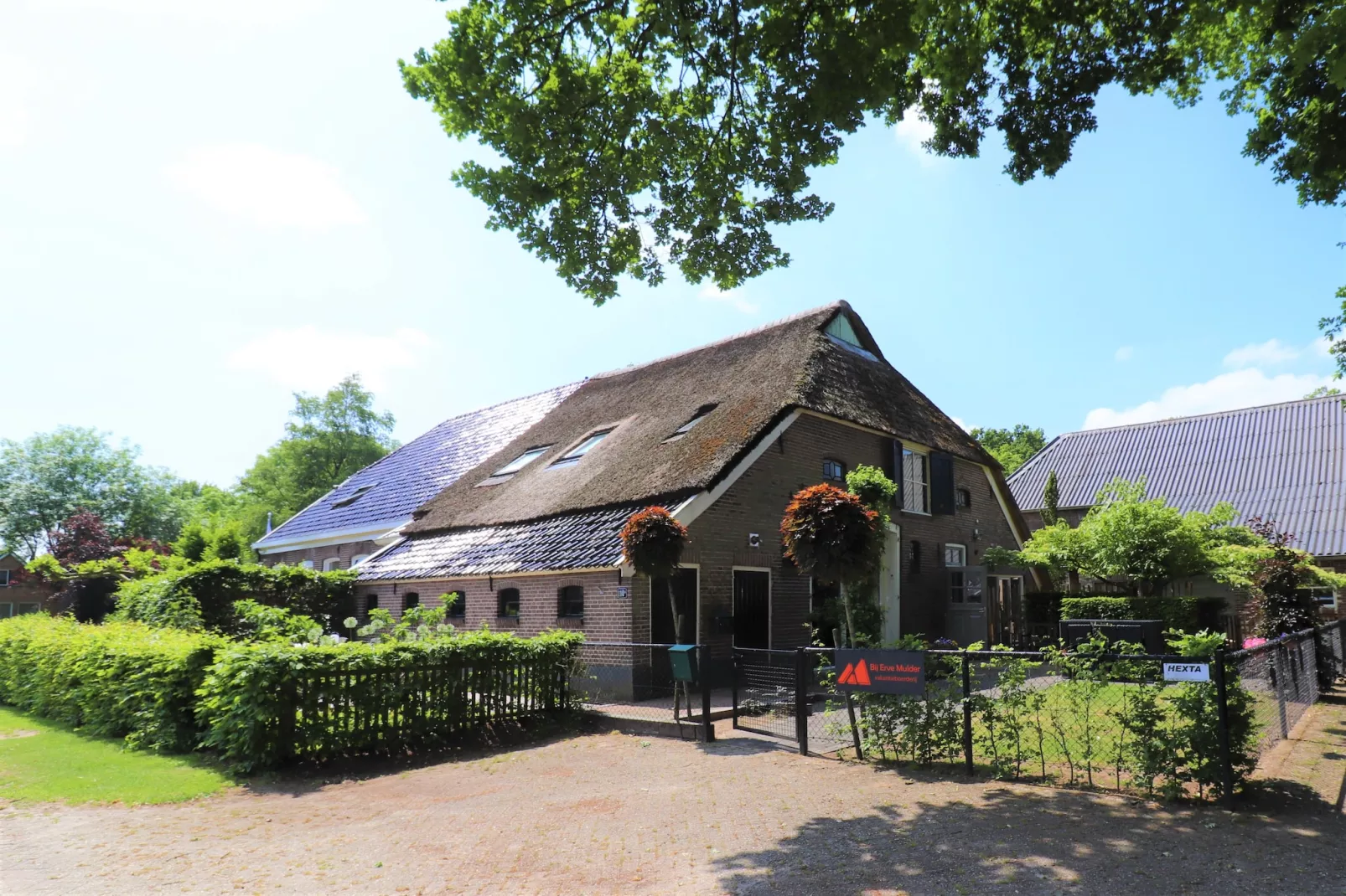 Boerderij Mulder Dalerveen - Buitenkant zomer