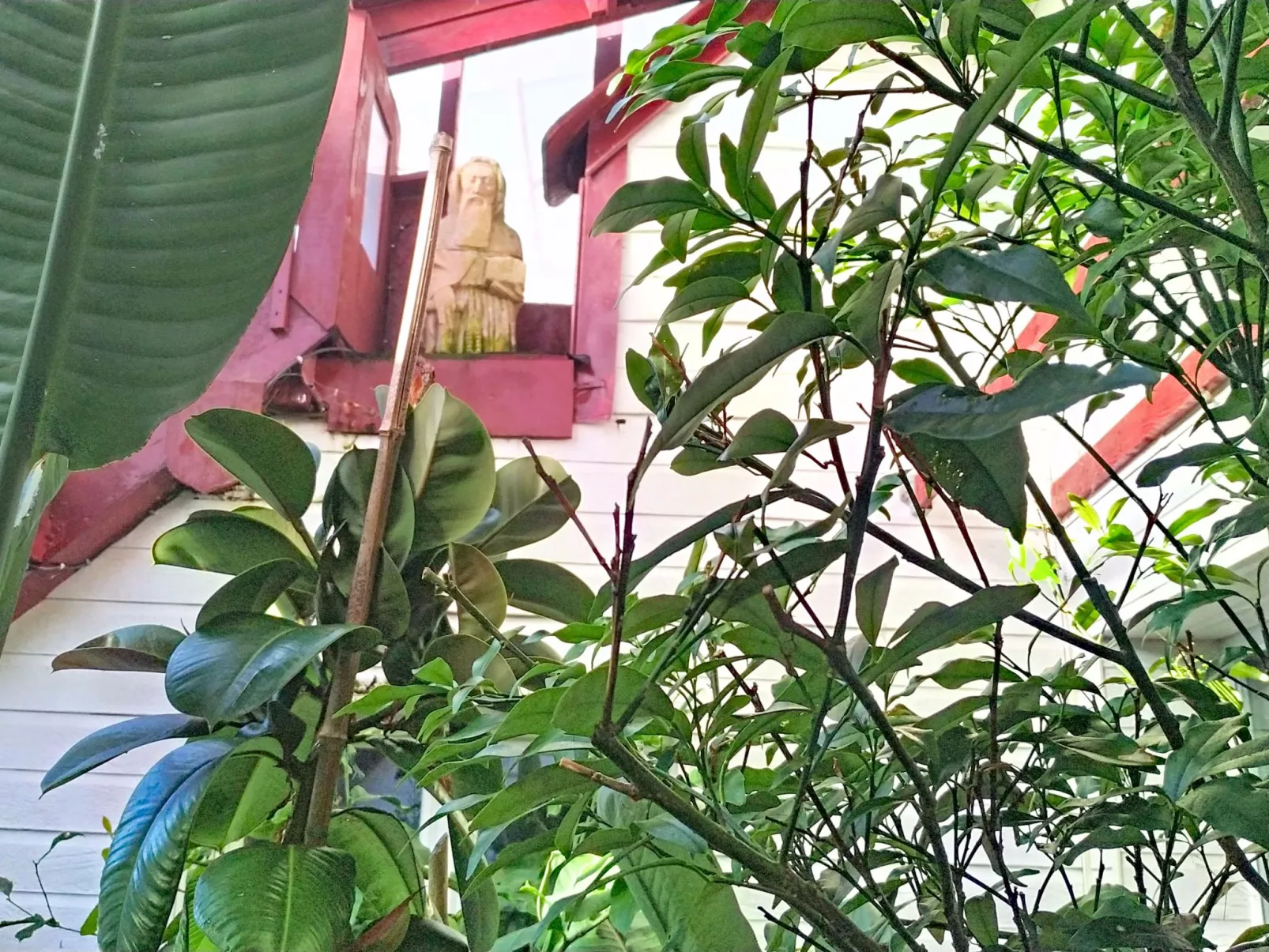 Le Nautilus - Buiten