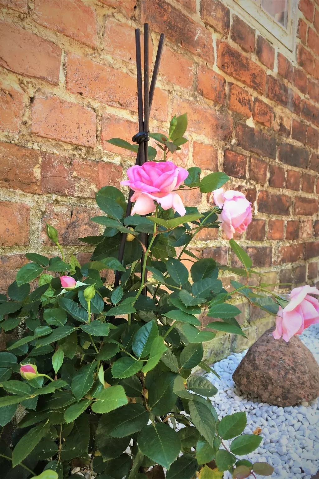 FH Godewind***** 45 - Buiten