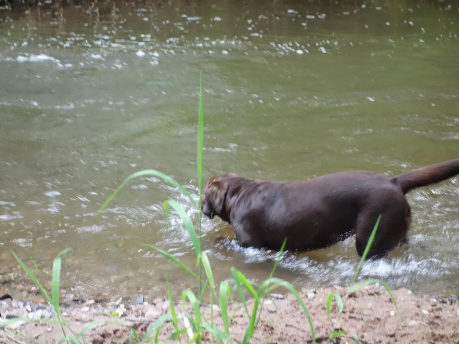 Tolle Wohnung in Klüsserath mit Großem Garten - Image-tags.info
