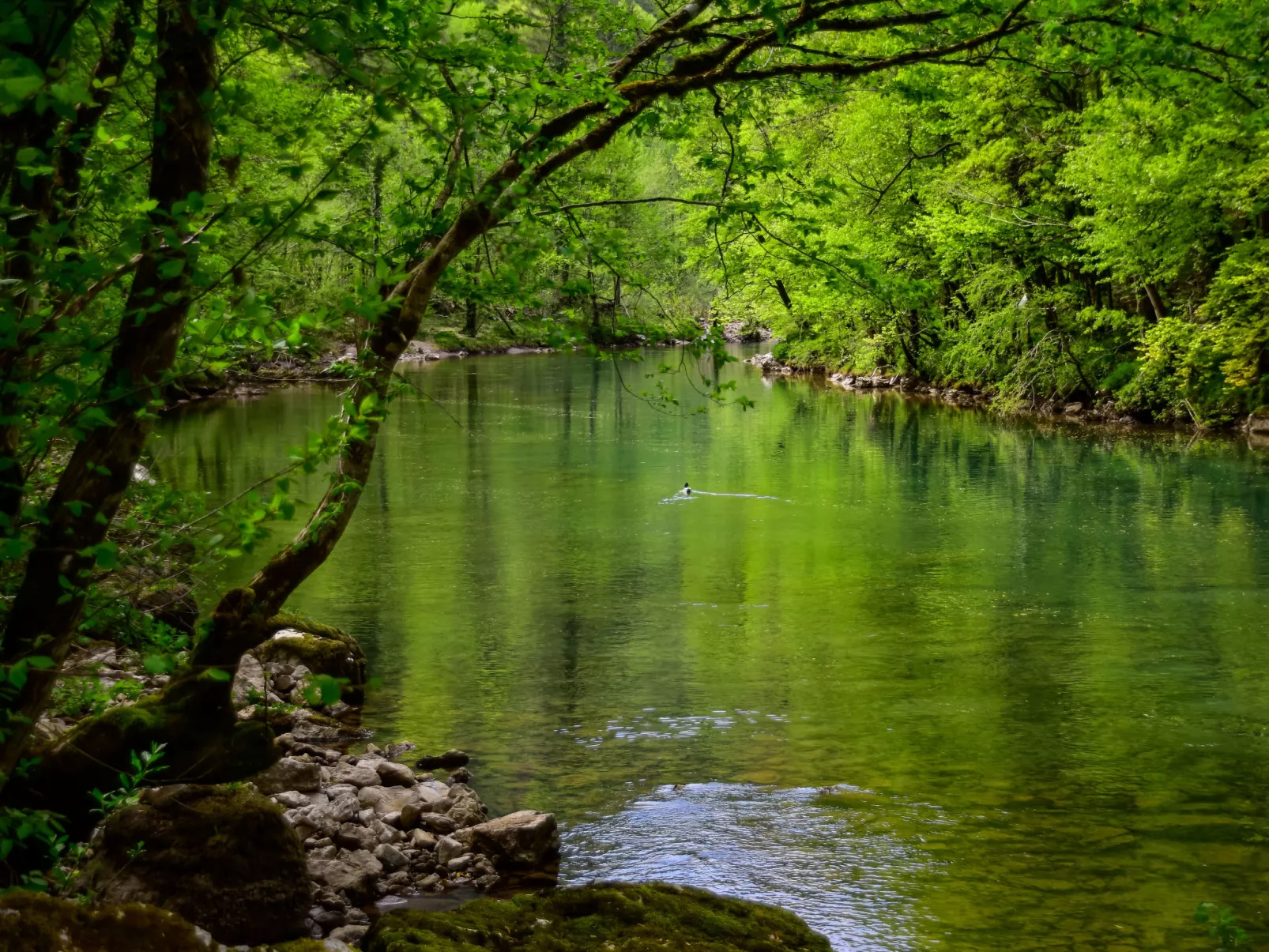 Makov Hrib - Omgeving