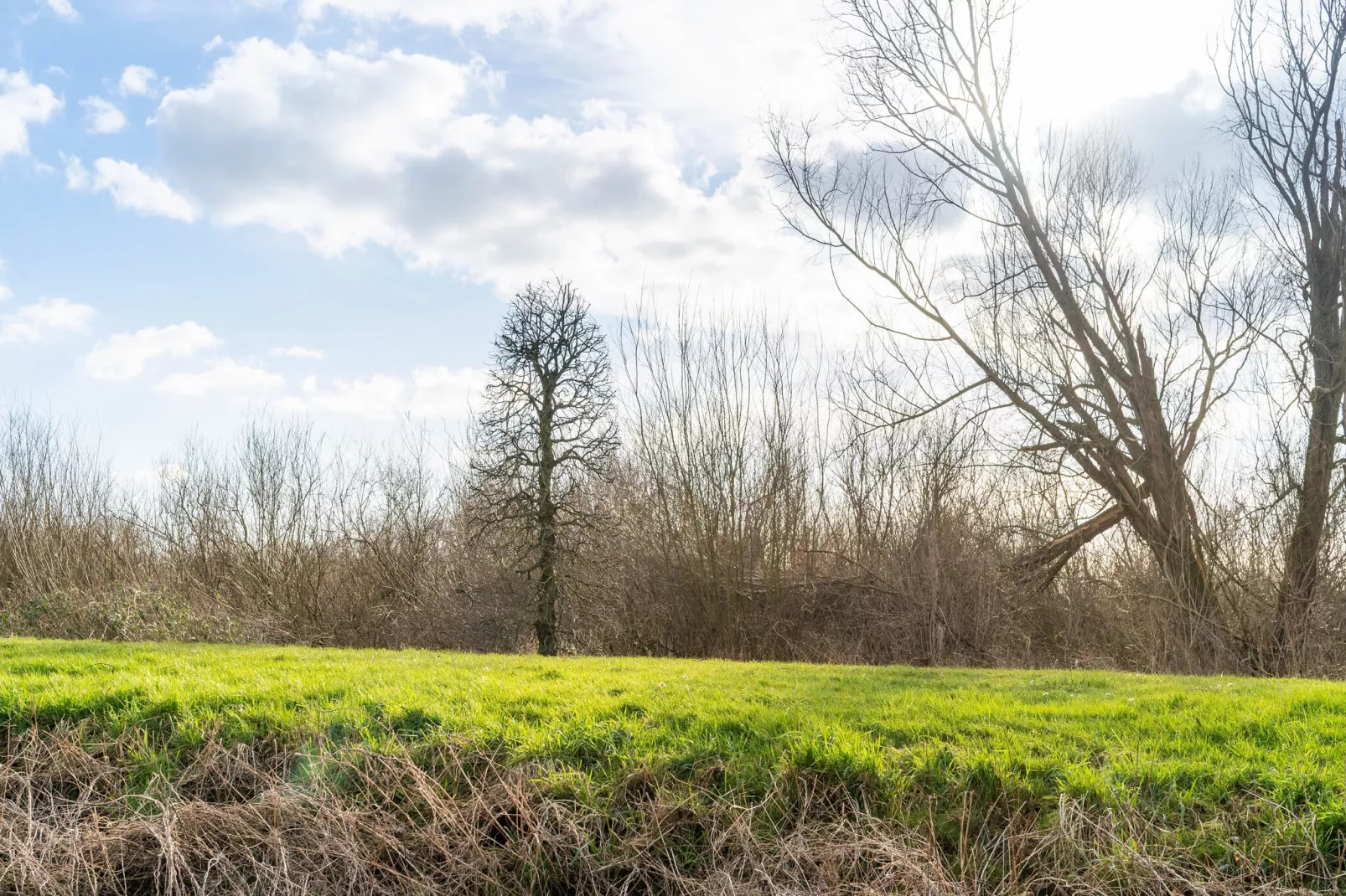 Villa Flevum 554-Gebieden zomer 5km