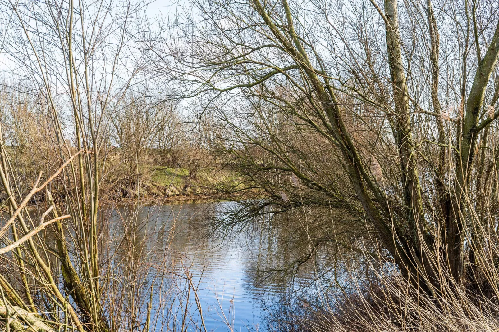 Villa Flevum 554-Gebieden zomer 5km