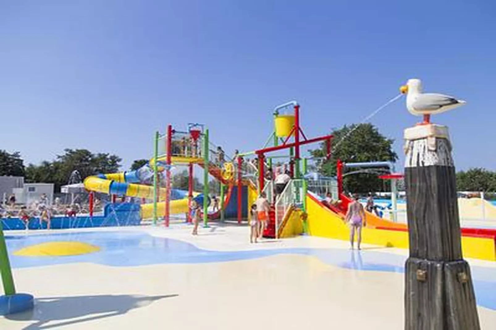 Duinhoeve chalet Schelp - Gebieden zomer 1km