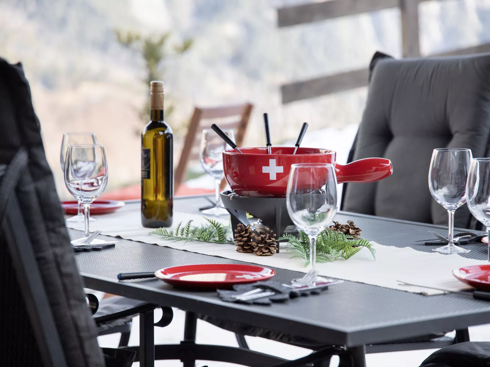 Ecureuil noir - Buiten