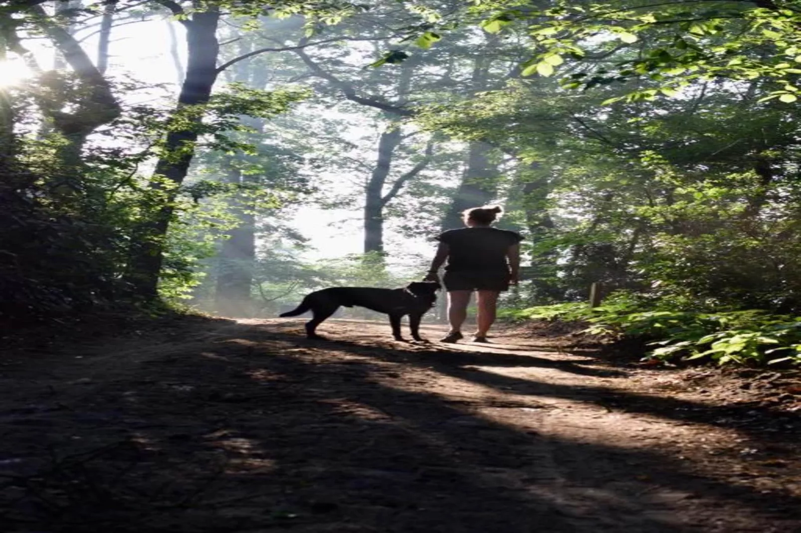 Chalet Egel - Gebieden zomer 20km