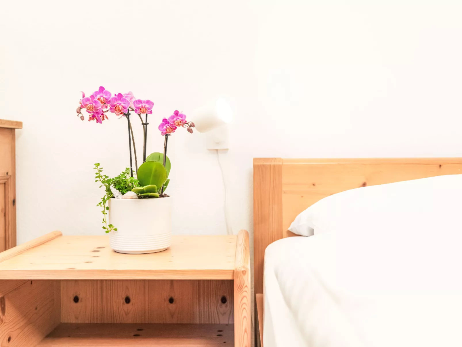 Morteratsch & Grisch - Binnen