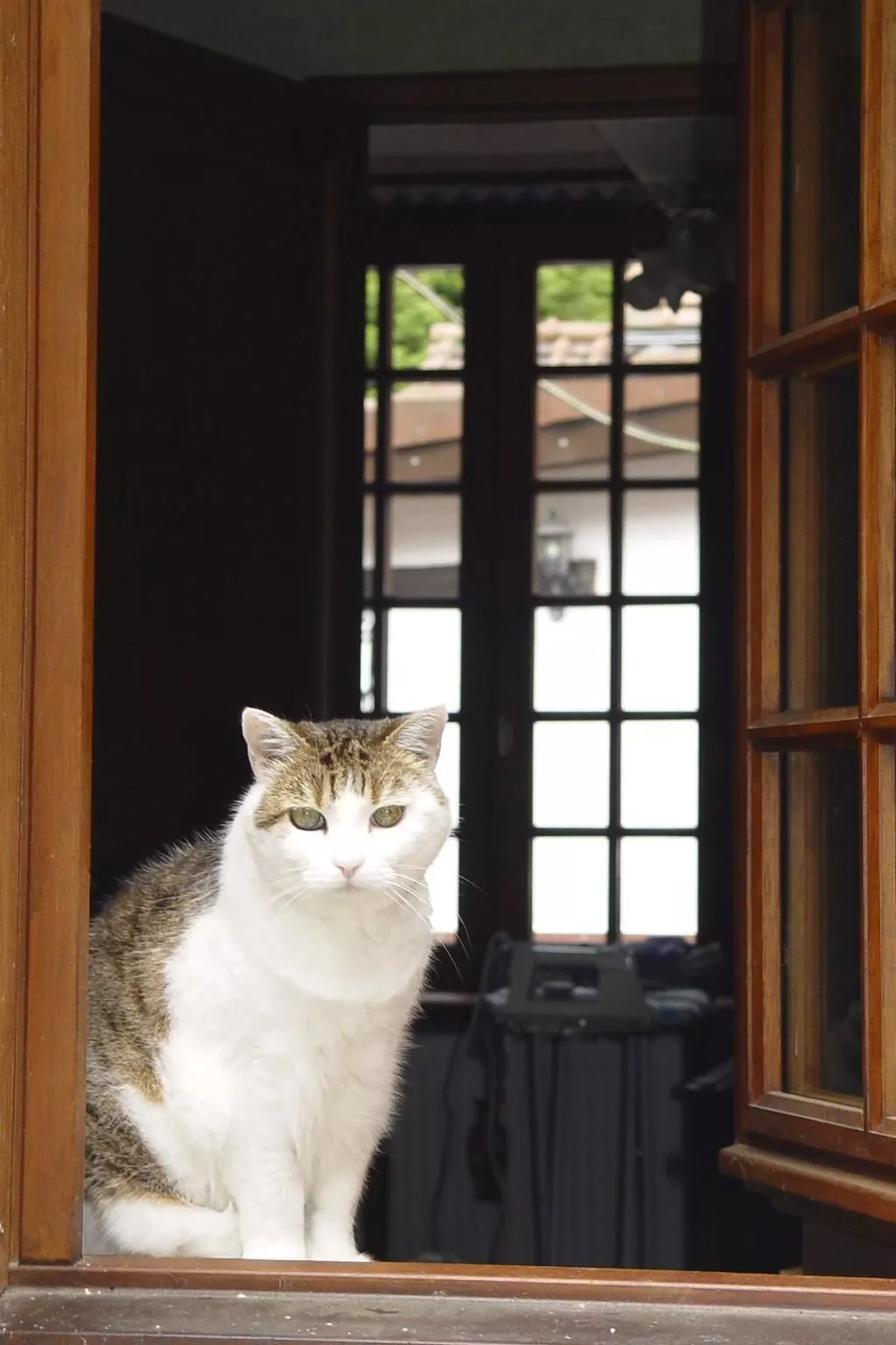 Mit großem Garten in La Prée - Image-tags.info