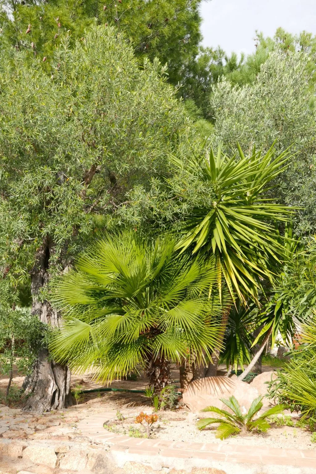 "Cosima" mit Blick auf das Wasser - Buiten