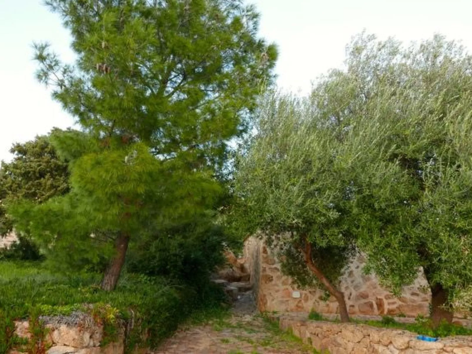 "Anania - Image-tags.info