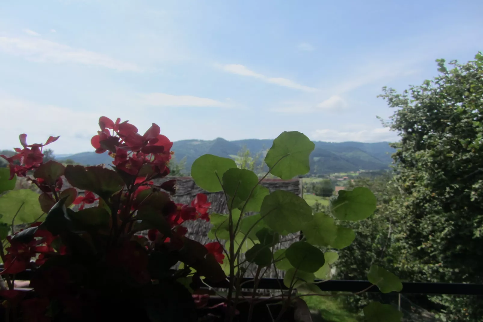 Casa Rural Astobieta - Uitzicht zomer