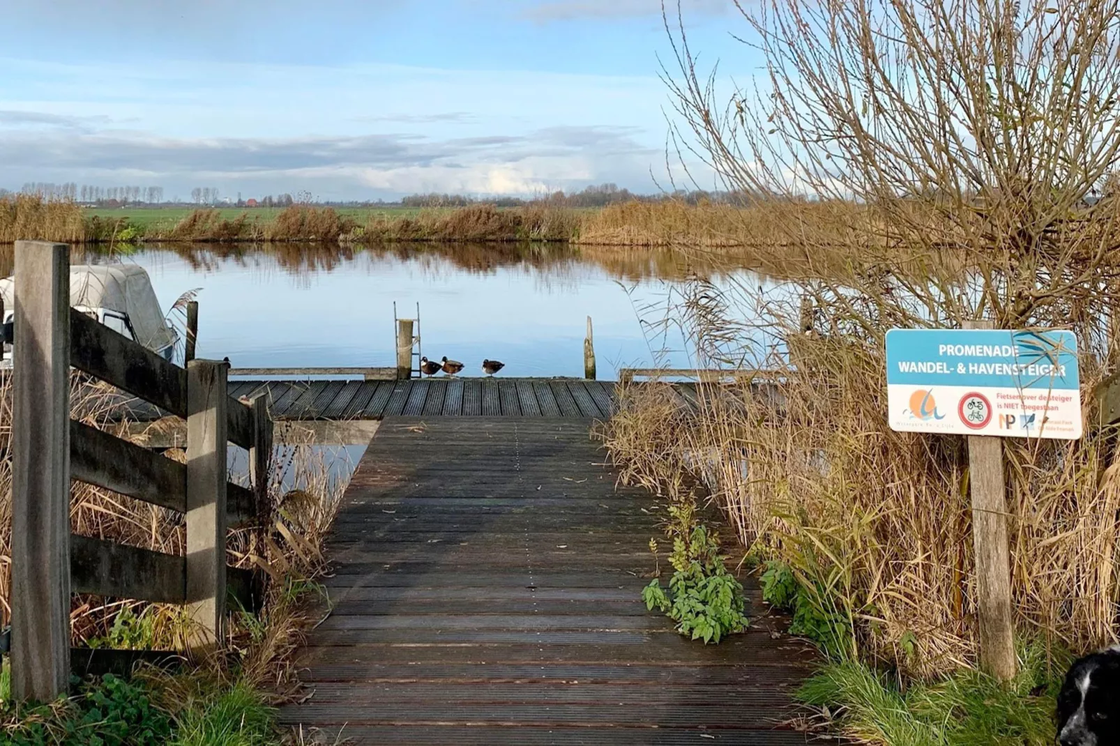 Combinatiewoningen Wolters - Gebied winter 1km