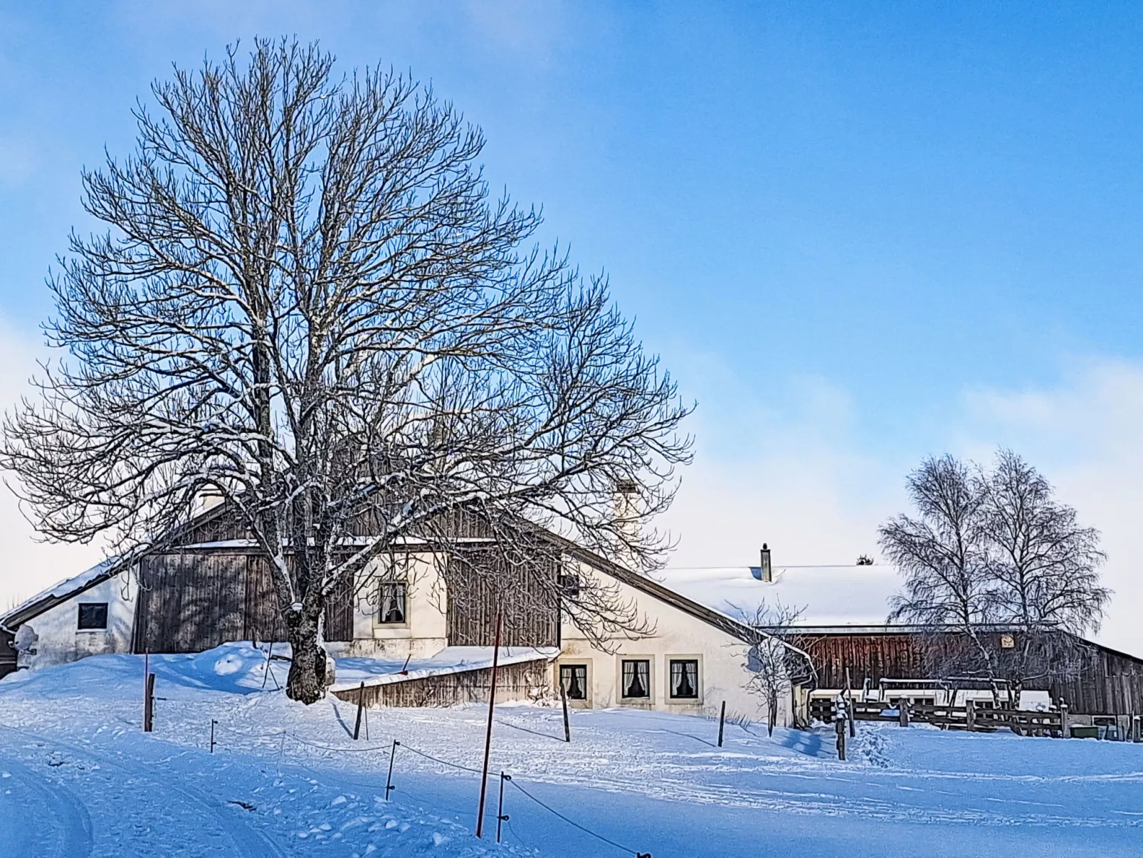 Les Grangettes - Buiten