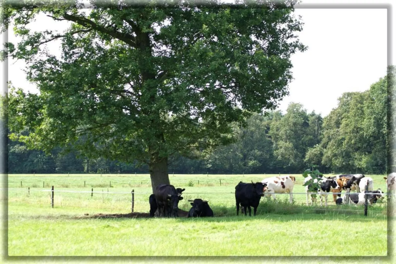 Chalet Egel - Gebieden zomer 20km