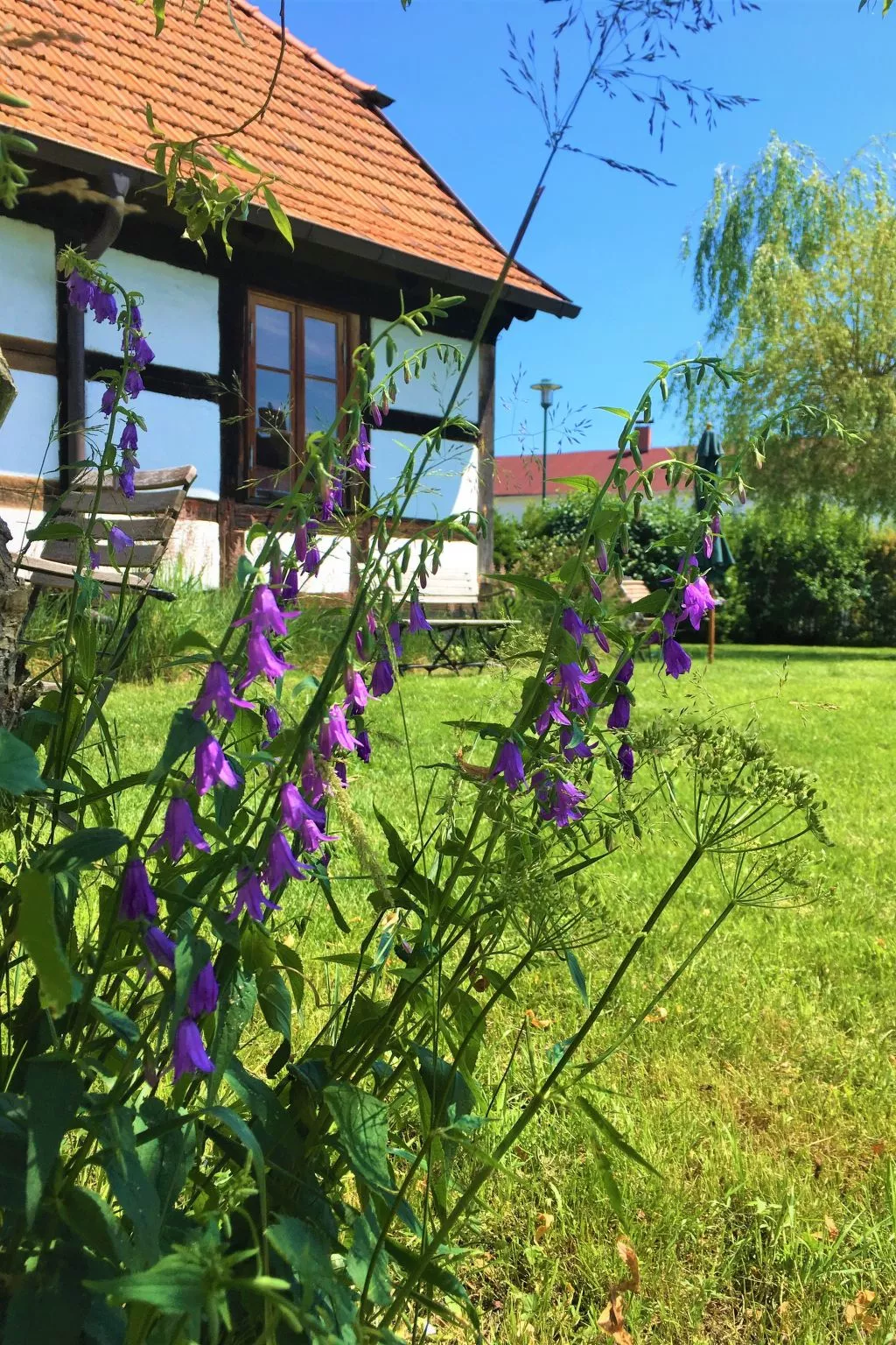 FH Godewind***** 45 - Buiten