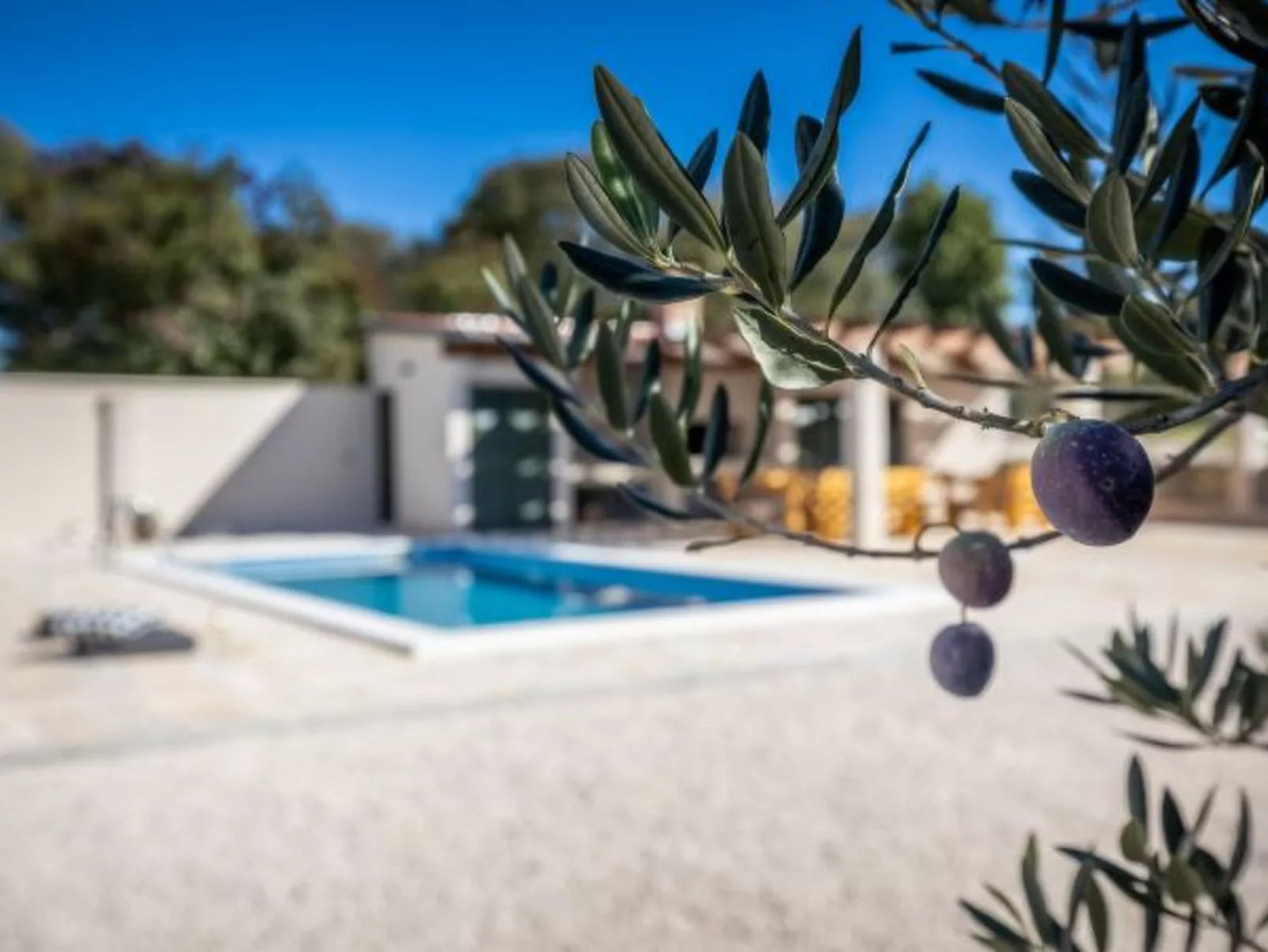 Villa Oliveto with pool - Image-tags.info