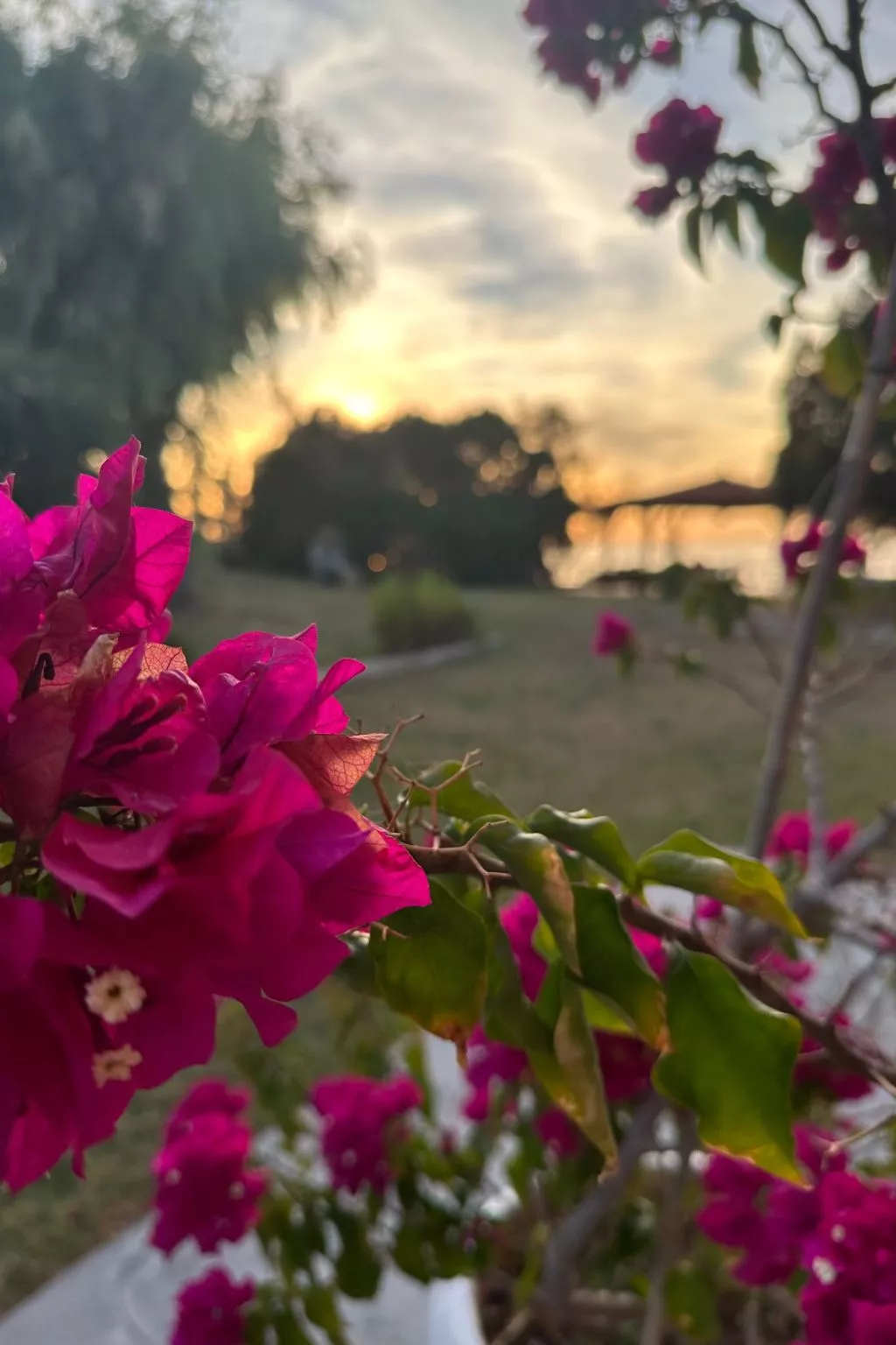 Genari Beach Atemberaubender Aufenthalt mit Meerblick - Buiten