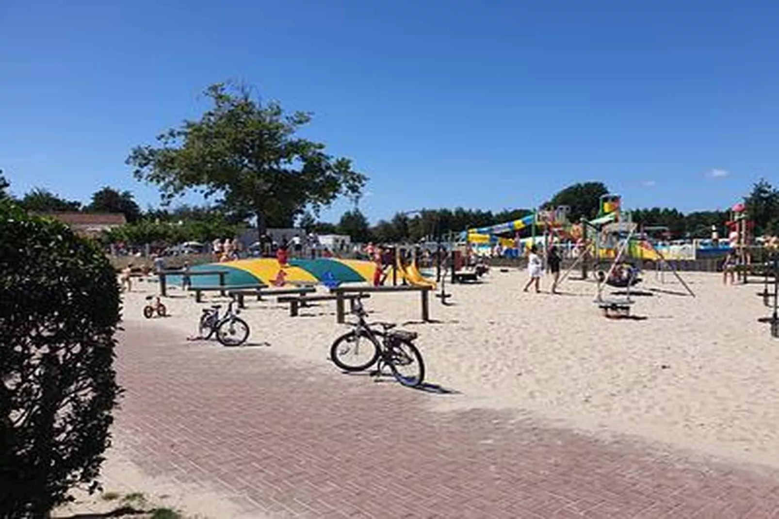 Duinhoeve chalet Schelp - Gebieden zomer 1km