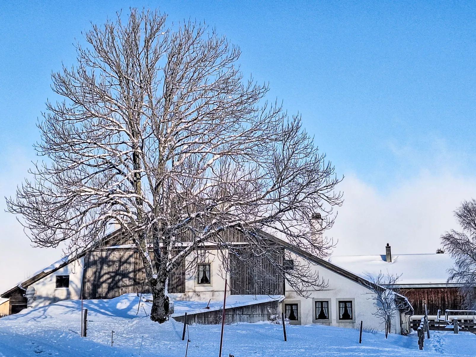 Les Grangettes - Buiten