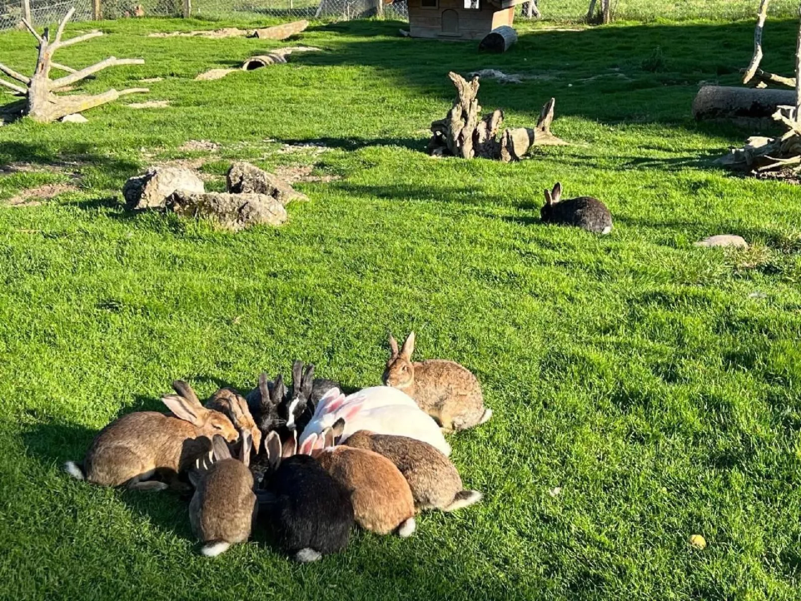 Schafmatthof 1 Obergeschoss - Buiten