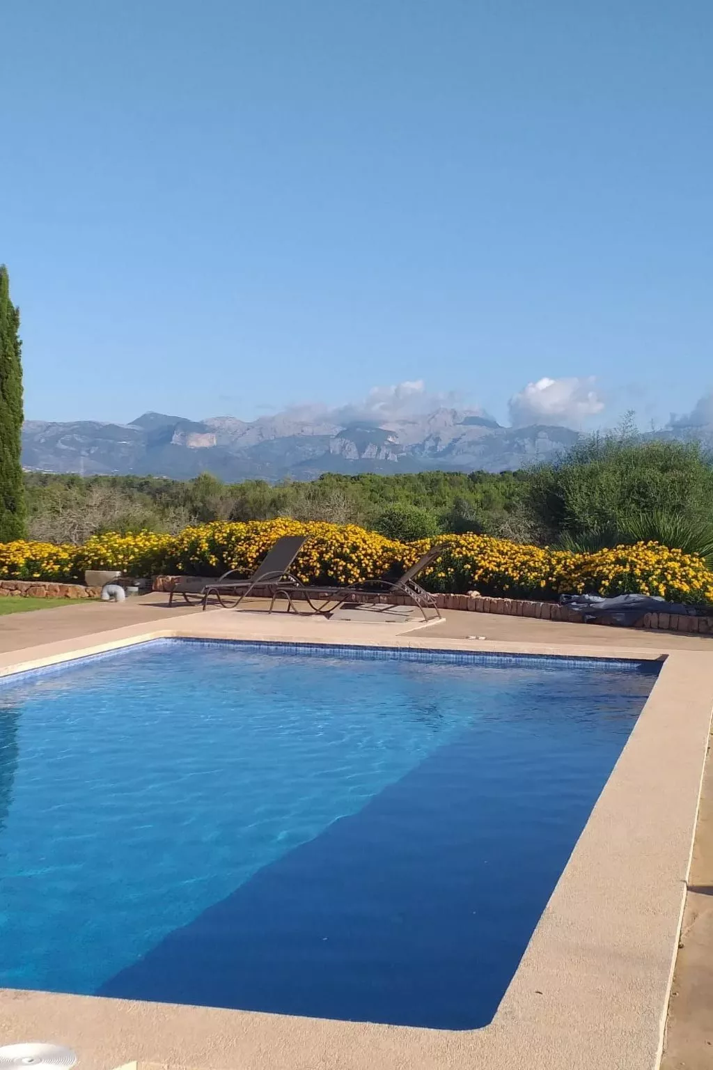 Villa "Cas Nins" - Buiten