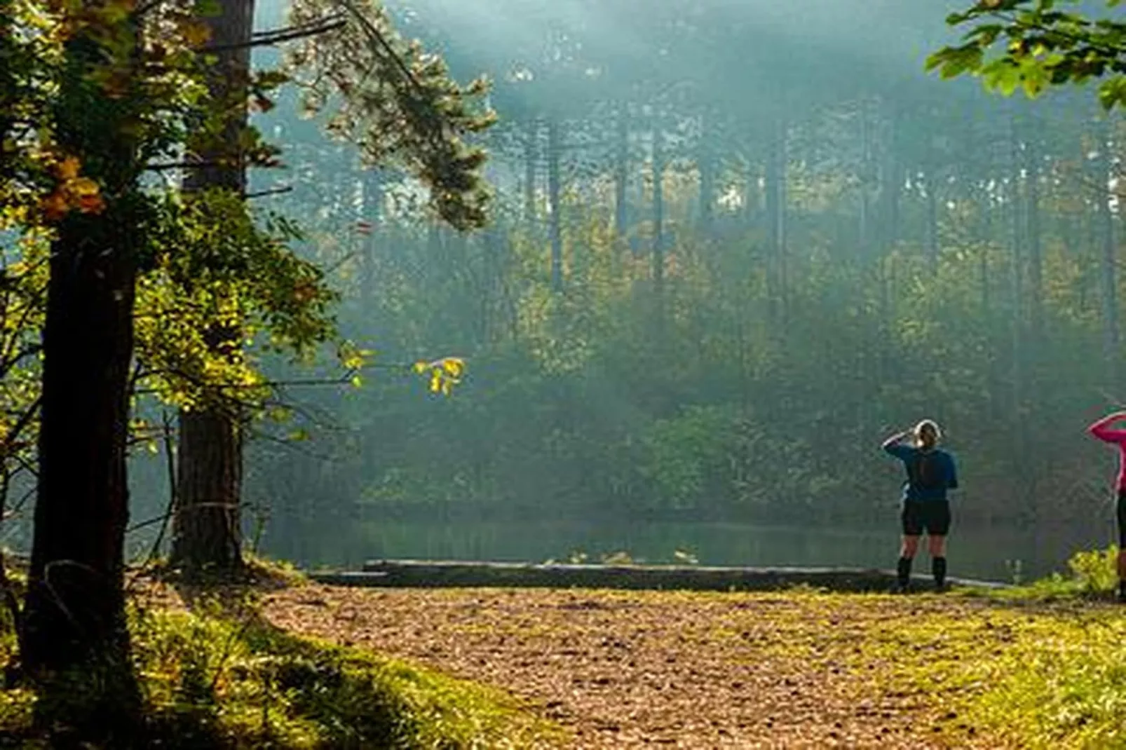 Duinhoeve Chalet Zeeland (huisdier toegestaan) - Gebieden zomer 5km