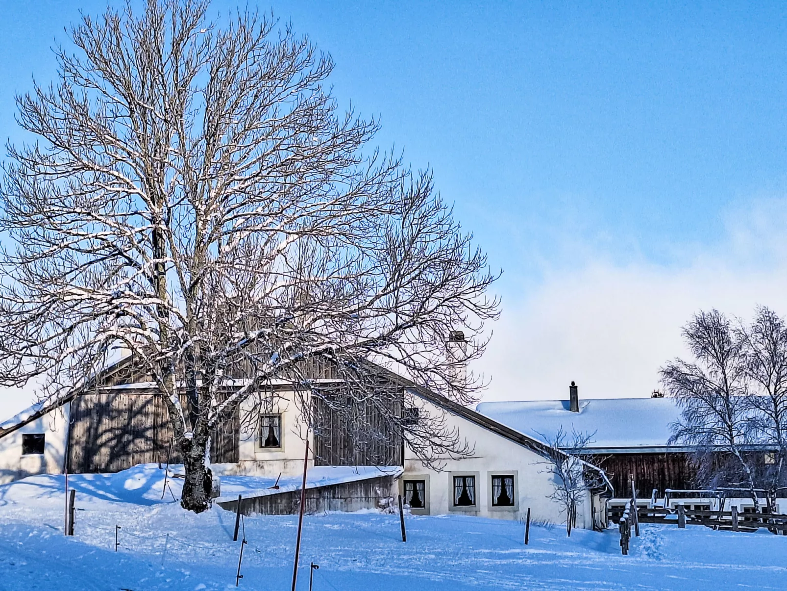 Les Grangettes - Buiten