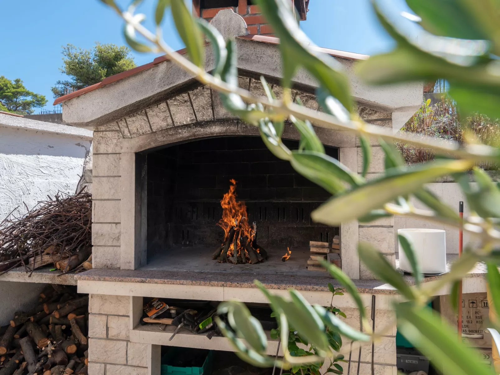 Modernes Apartment mit Gartennutzung, einer groß - Image-tags.info