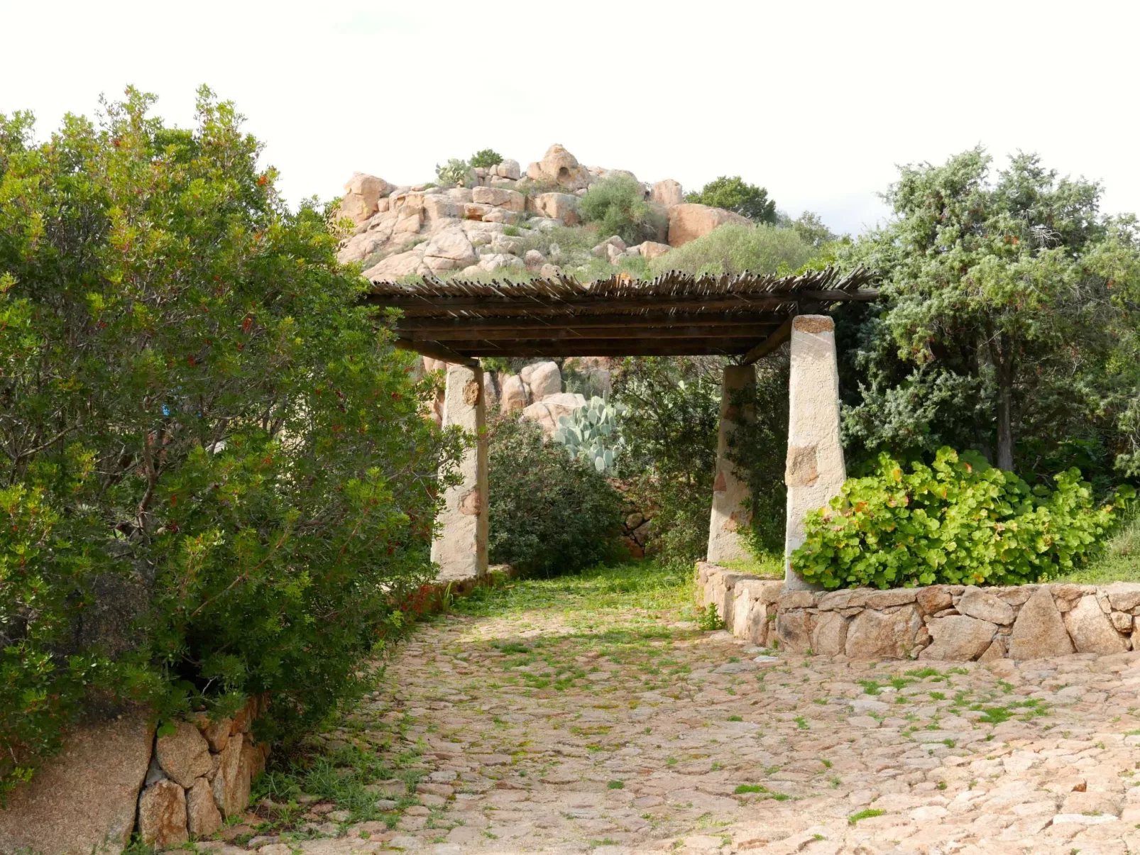 "Cosima" mit Blick auf das Wasser - Buiten