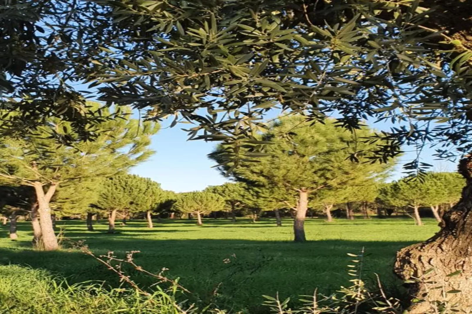 Casa Bela Esperança - Gebieden zomer 20km