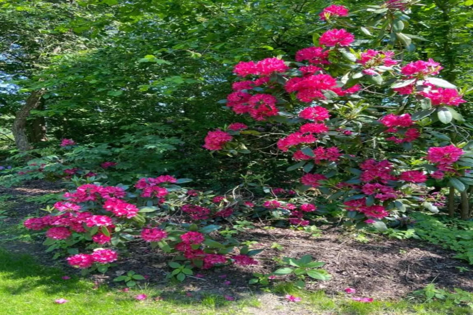 Chalet Egel - Gebieden zomer 20km