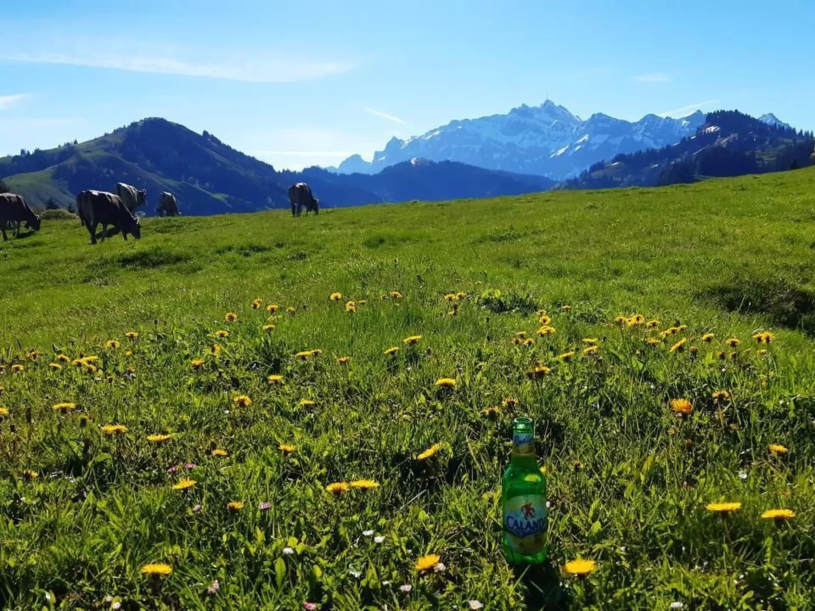 Hof Unterstein - Buiten