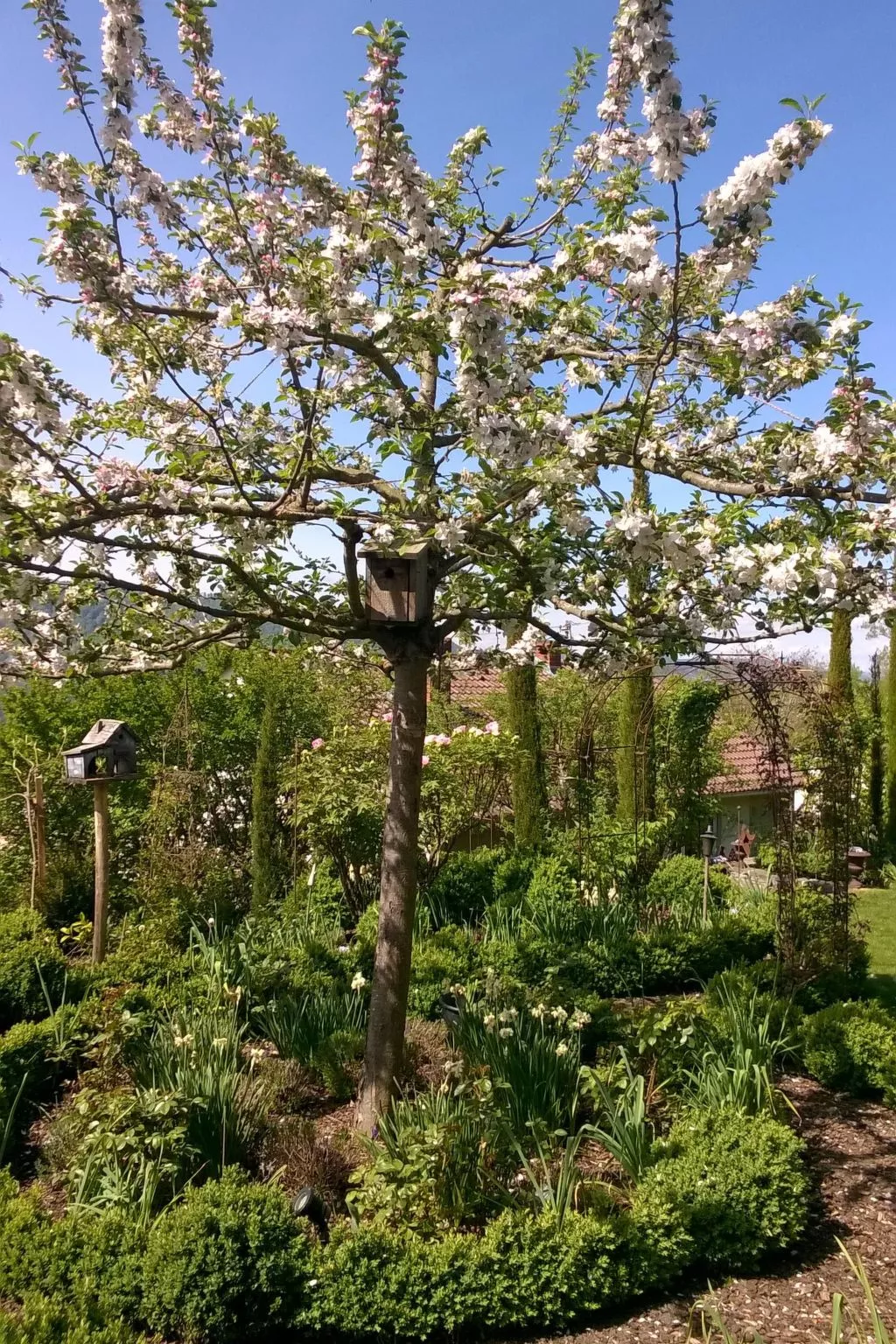 Villa Romantica - Buiten