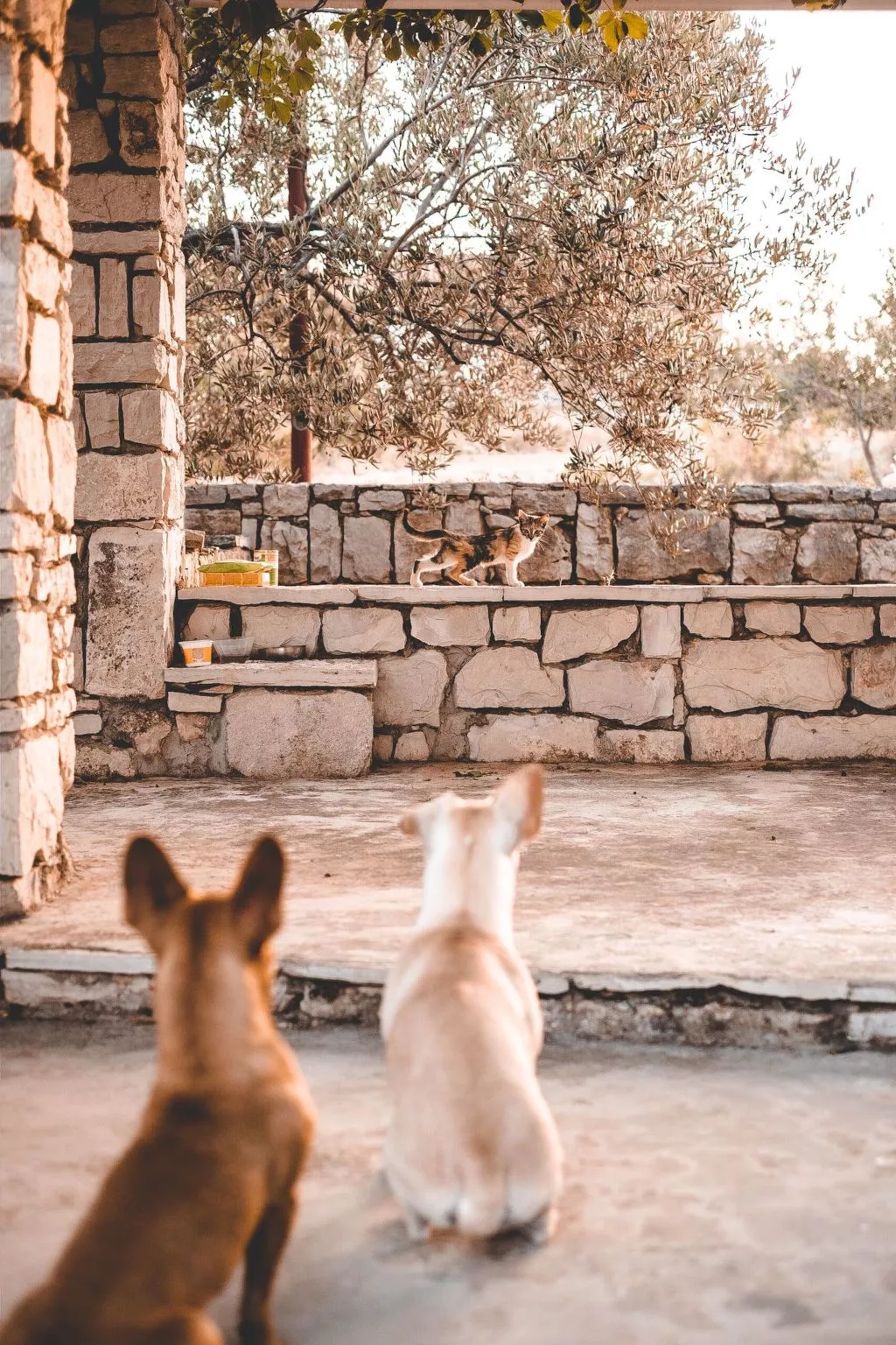 Haus am Meer Šolta - Buiten