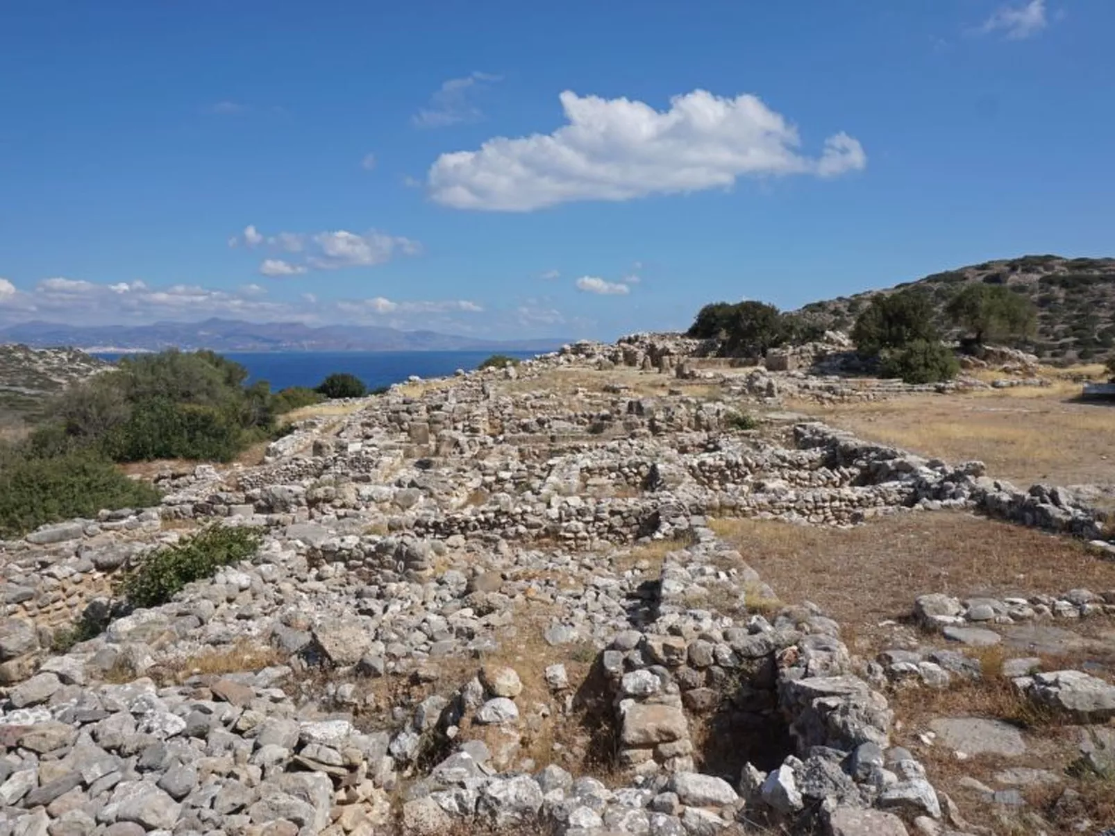 Oleander - Image-tags.info