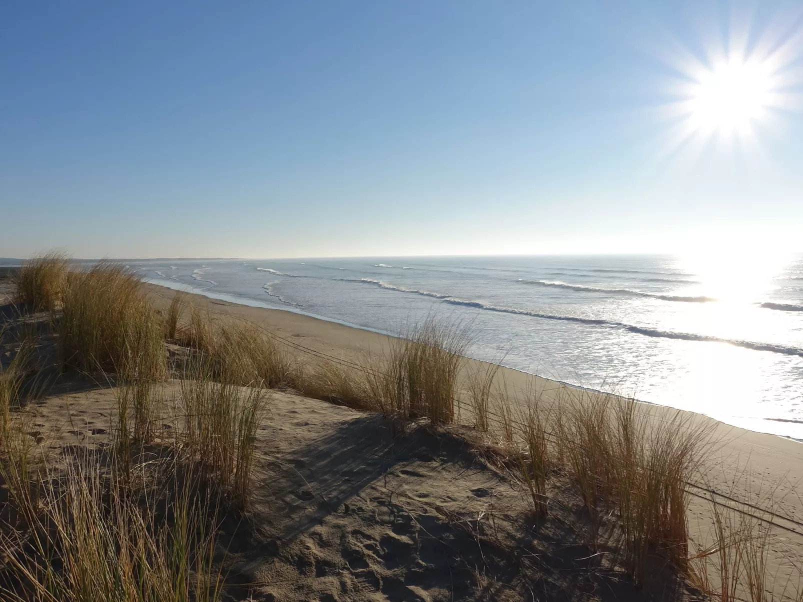 La Bétaudière - Omgeving