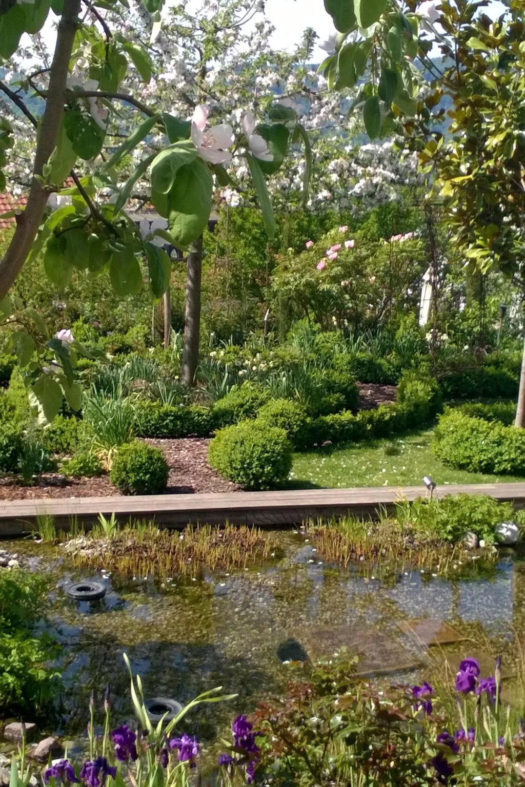 Villa Romantica - Buiten