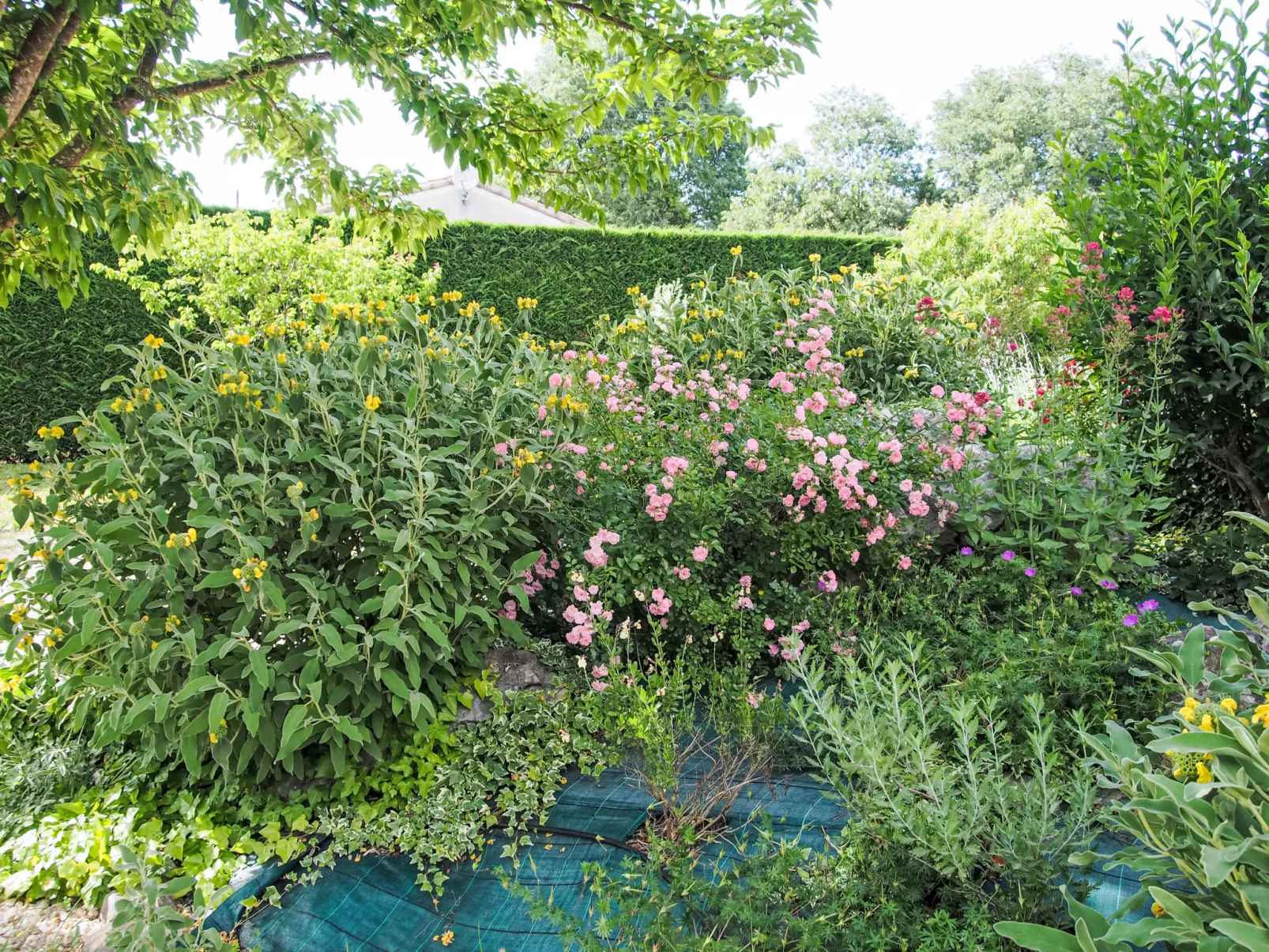 Urlaub im Süden zwischen Meer und Bergen - Buiten