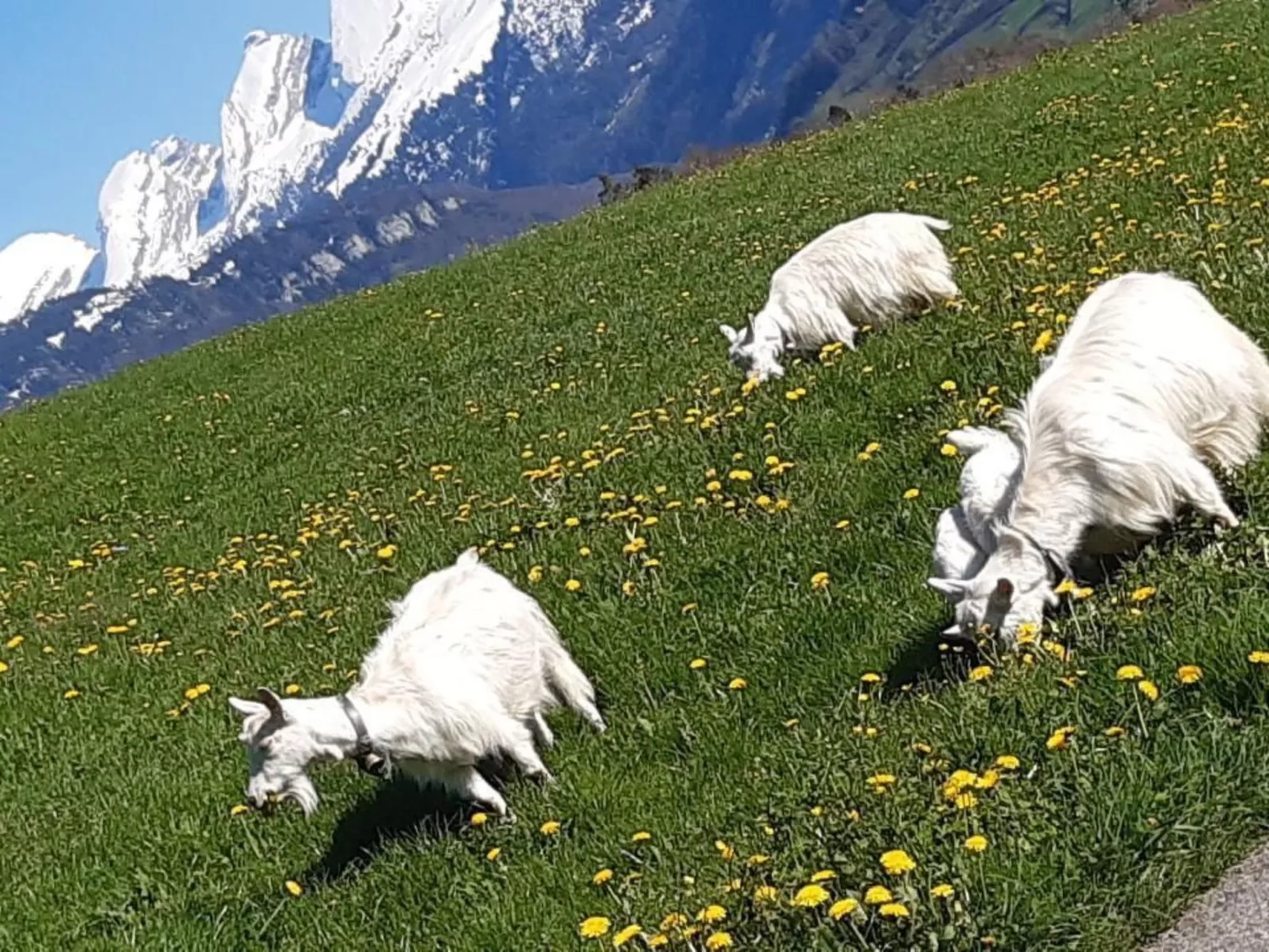 Hof Unterstein - Buiten