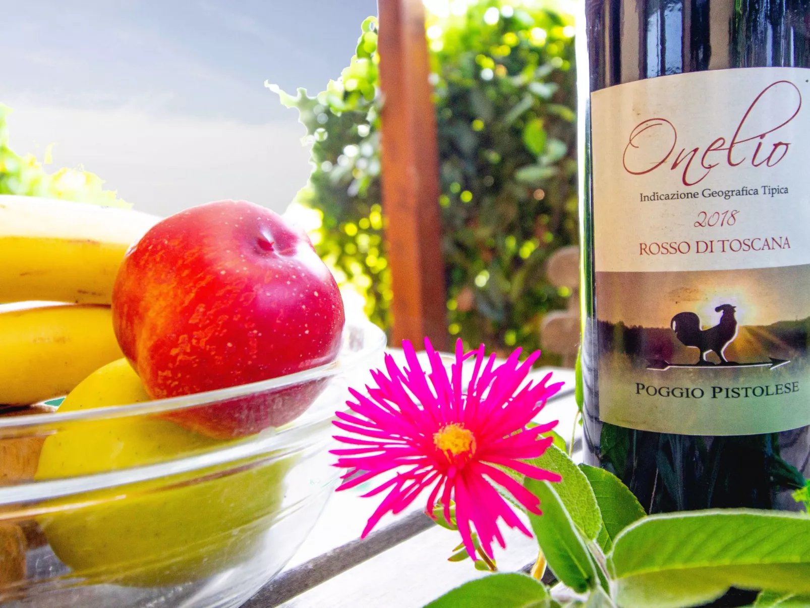 Gästezimmer 1 - Buiten