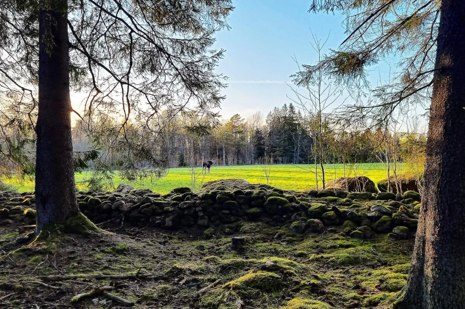 8 persoons vakantie huis in Moheda-By Traum - Niet-getagd