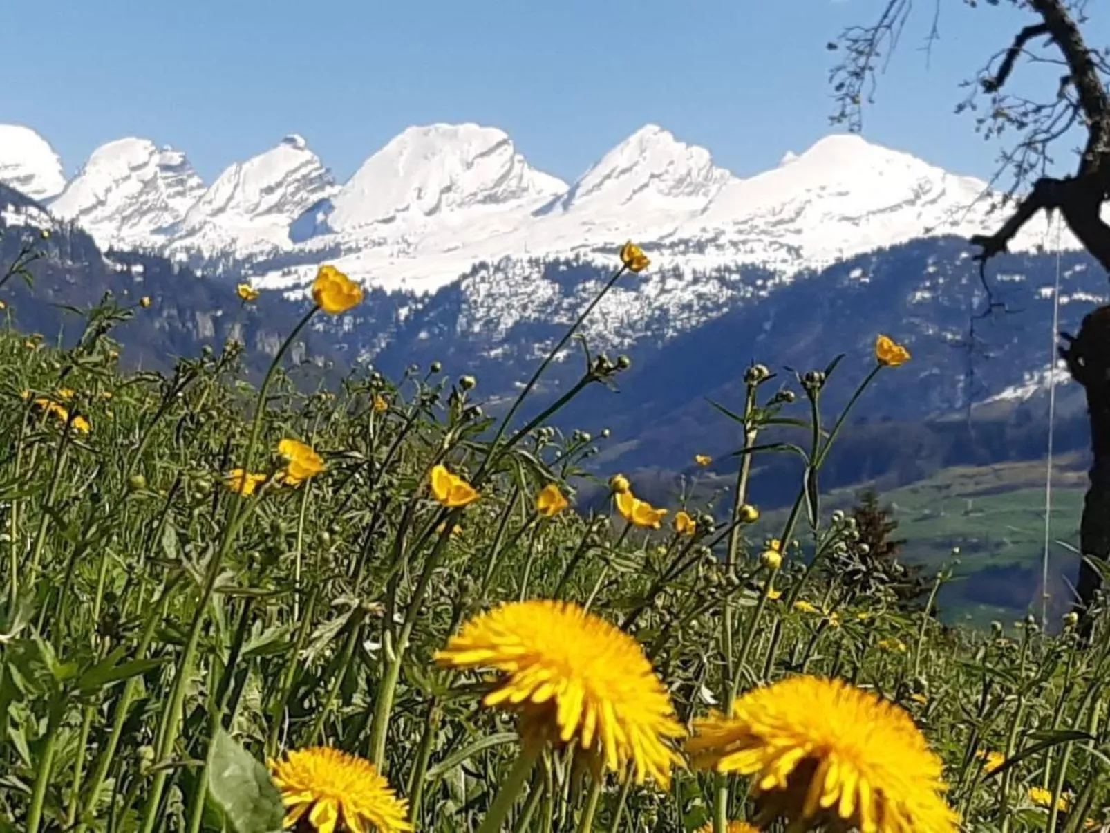 Hof Unterstein - Buiten