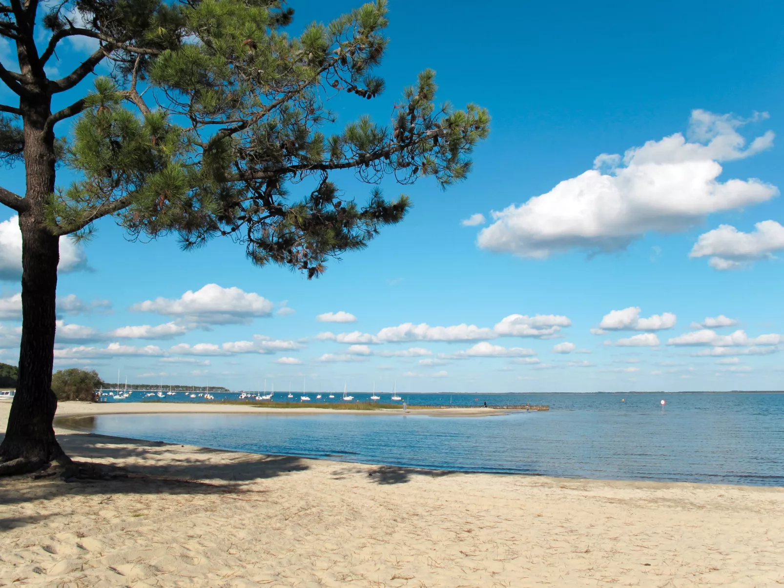 Les Grands Pins - Omgeving